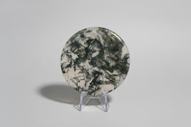 Moss Agate Polished Round Slice #26