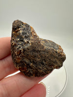 Madagascar Raw Amber Specimen #15