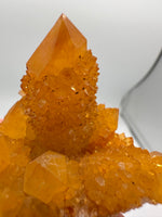 Sunshine Spirit Cactus, Golden Healer Quartz Cluster, South Africa #2
