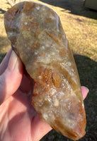 Savannah River Agate Specimen 1i
