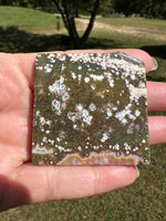 Ocean Jasper Free-form #1
