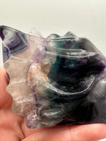 Fluorite Dragon Head Carving #22