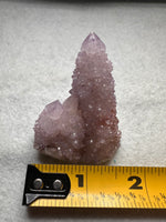 Amethyst Spirit Cactus Cluster, South Africa #3