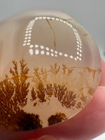 Designer Dendritic Agate Cabochon #2