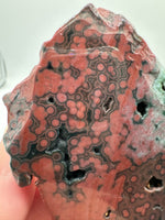 8th Vein Ocean Jasper Slab #64