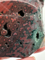 8th Vein Ocean Jasper Slab #64