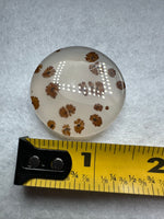Scenic Dendritic Agate Cabochon #11