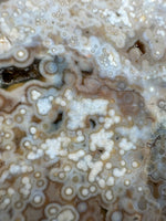 8th Vein Ocean Jasper Slab #47