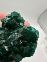 Green Dioptase from Reneville, DR Congo Specimen #2