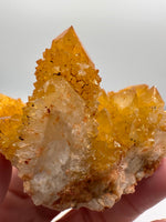 Sunshine Spirit Cactus, Golden Healer Quartz Cluster, South Africa #2