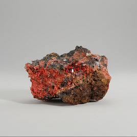 Crocoite, Red Lead Mine, Dundas, Tasmania, Australia