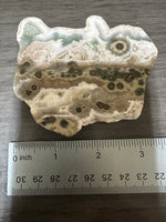One of a Kind Bunny Shaped 8th Vein Ocean Jasper Slab #2