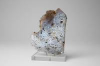 8th Vein Ocean Jasper Slab #106