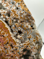 8th Vein Ocean Jasper Slab #24