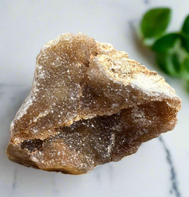 Savannah River Agate Specimen #47