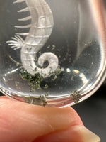 Beautiful Seahorse Garden Quartz Inner Scene Carving #7