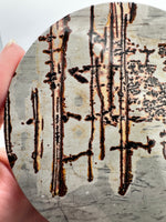 Natural Picture Jasper Slab with Stand #12