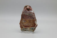 8th Vein Ocean Jasper Slab #53