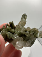 Chlorite Included Himalaya Quartz Crystal from Pakistan