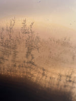 Designer Dendritic Agate Cabochon #12