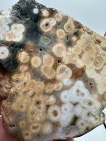 8th Vein Ocean Jasper Slab #58