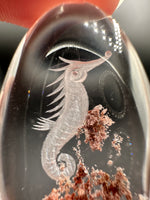 Beautiful Seahorse Garden Quartz Inner Scene Carving #11
