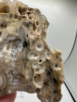 8th Vein Ocean Jasper Slab #26