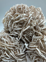 Selenite "Desert Rose," Samalayuka Desert, Chihuahua, Mexico #2