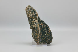 8th Vein Ocean Jasper Slab #11