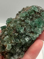 Diana Maria Fluorite Specimen #5