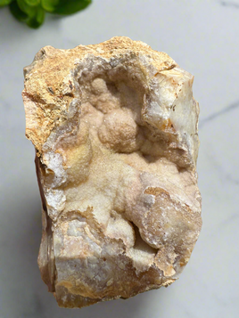 Savannah River Agate Specimen #38