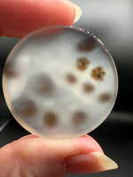 Scenic Dendritic Agate Cabochon #8