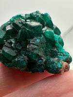 Green Dioptase from Republic of Congo Specimen #3