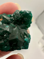 Green Dioptase from Reneville, DR Congo Specimen #2