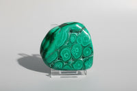 Polished Malachite Freeform Zaire, Africa #8