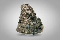 8th Vein Ocean Jasper Slab #21