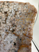 8th Vein Ocean Jasper Slab #41