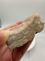 Druzy Quartz Haunted Ridge Rocks MO #11