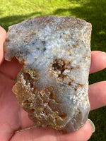 8th Vein Ocean Jasper Slab #106