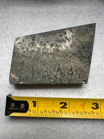 Free Form Pyrite Flowers Symbiosis Mixed Agate Slab #4