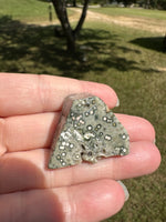 Ocean Jasper Free-form #5