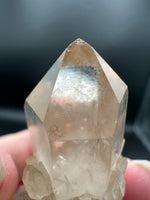 Kundalini Natural Citrine Crystal, D R Congo, Lightbrary #10 with Rainbow