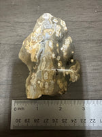 8th Vein Ocean Jasper Slab #29