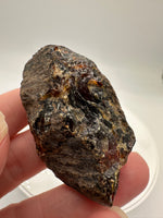 Madagascar Raw Amber Specimen #17
