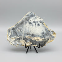 Dendritic Opal Slab