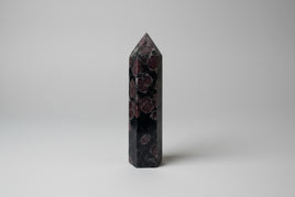 Garnet & Astrophyllite Tower #10