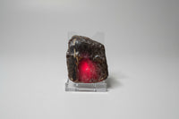 Raw Amber Specimen #8