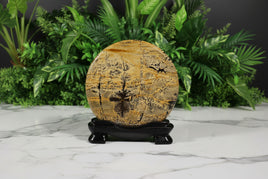 Natural Picture Jasper Slab with Stand #5