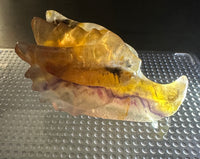 Fluorite Dragon Head Carving #9