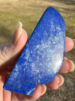 Lapis Lazuli Freeform Slab #5